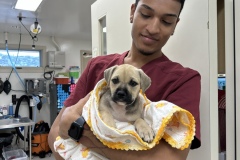 2025-03-13-GTCSNC-VSAI-Miguel-Mitchell-with-Pup-Portrait-2