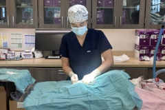 2025-05-18-Outreach-Spay-Neuter-Day-First-Day-at-GTCSNC-at-KFC-Dr.-Lauw-Performing-First-Community-Neuter-Surgery-at-KFC