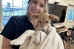 2025-Super-Puppy-Bowl-Isa-Cortina-with-Red-Zone-Ruby