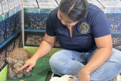 2025-Super-Puppy-Bowl-Melissa-Ponce-with-Twix-the-Lionhead-Mix-Rabbit