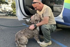 Humane-Investigator-Rob-Church-with-Molly-2