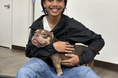 Mana-with-his-Hawaiian-Humane-alum-Gloria