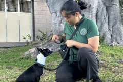 Off-Site-Adoptions-Coordinator-Reina-Fujimoto-and-Tabitha-A0056996931-5