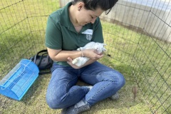 Sophia-Casey-with-Rabbit