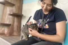 Sydney-with-Literal-Lap-Crasher