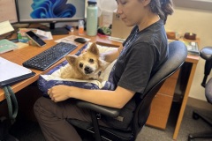 Tia-Montoya-with-Office-Foster-Dog