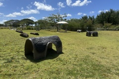 The Schuler Family Foundation and Jones Family Community Dog Park - Large Dog Park Play Structures
