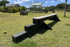 The Schuler Family Foundation and Jones Family Community Dog Park - Small Dog Park Agility Equipment