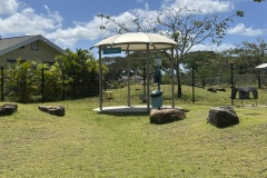 The Schuler Family Foundation and Jones Family Community Dog Park - Small Dog Park - First Hawaiian Bank Gazebo