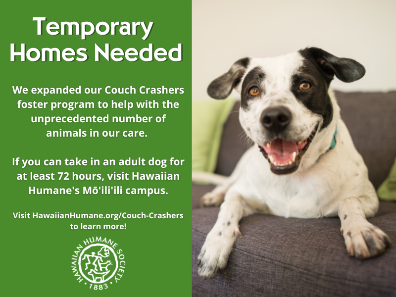 Hawaiian Humane Society Hawaiian Humane Society
